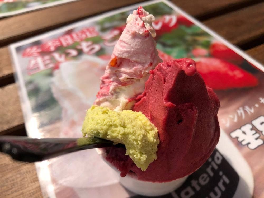 アグリタウン花の停車場