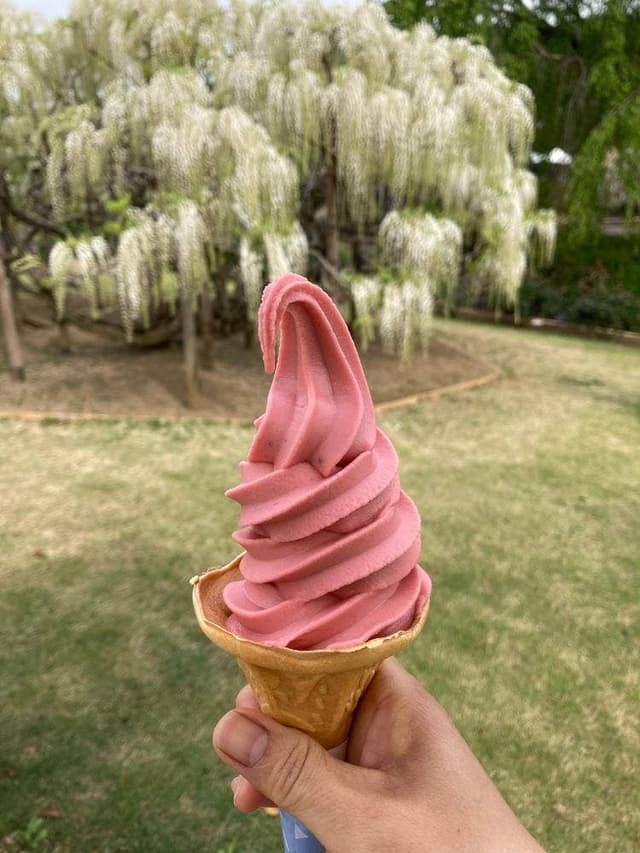 マロニエ あしかがフラワーパーク - サブ画像1