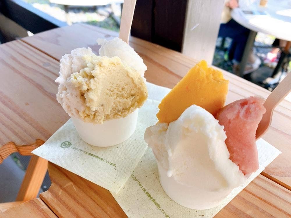 屋久島ジェラート そらうみ