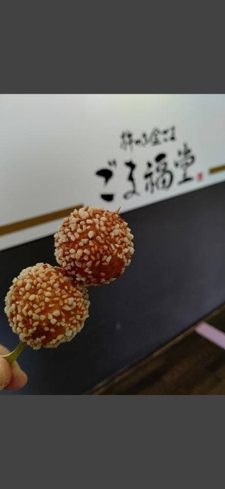ごま福堂 草津店 - サブ画像2