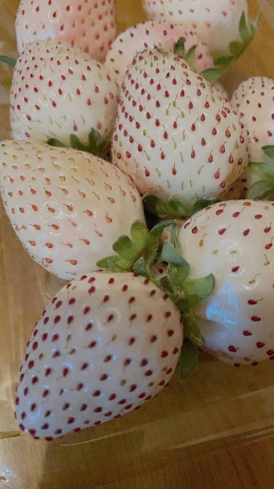 レストラン ShunSai 道の駅 ひたちおおた