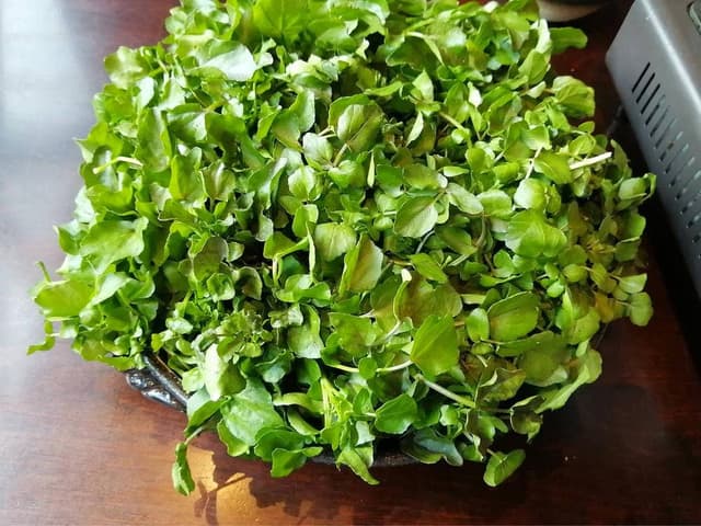 お食事処 禄次 平湯民俗館内 - サブ画像3