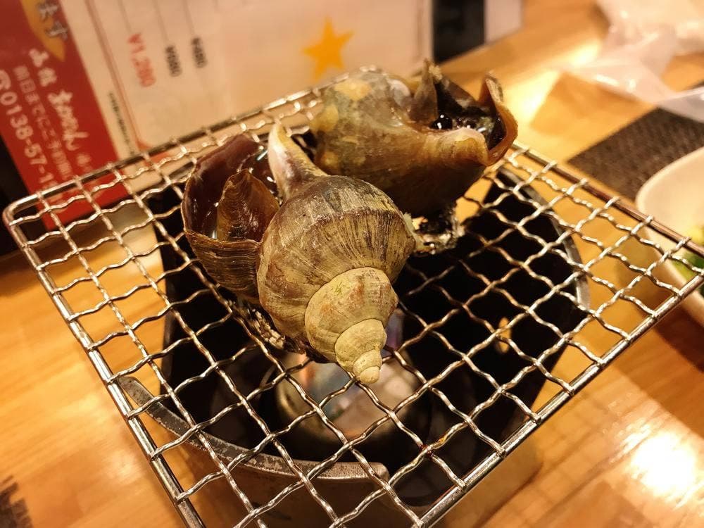 あかちょうちん