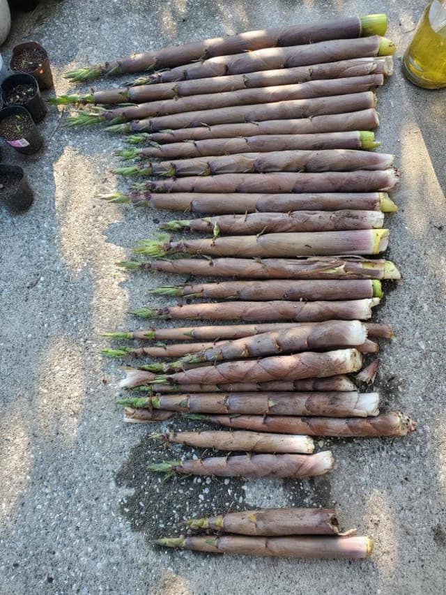 はまべ - サブ画像2