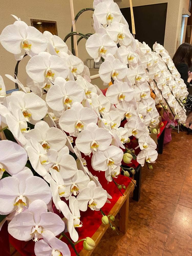 士別バーベキュー はなれ