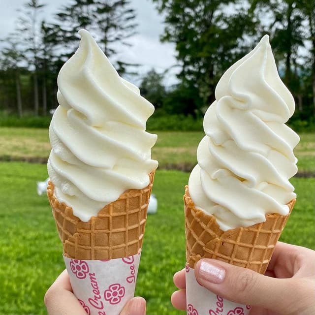 小林牧場おかしなソフトクリーム工房 - サブ画像3