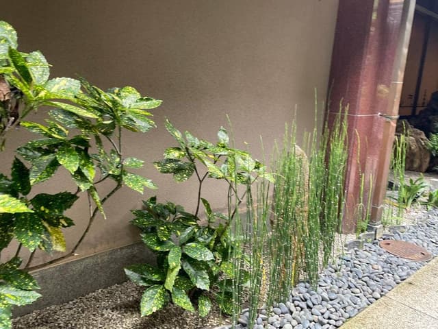 日昇別荘 - サブ画像1