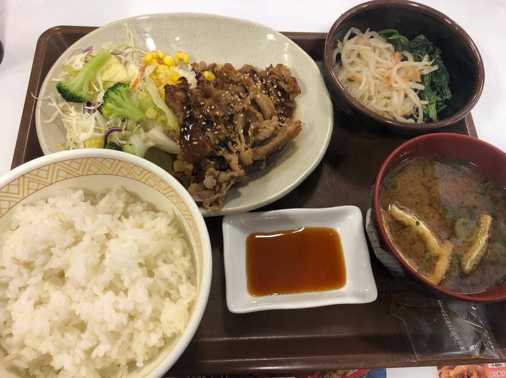 すき家 289号三条東裏館店