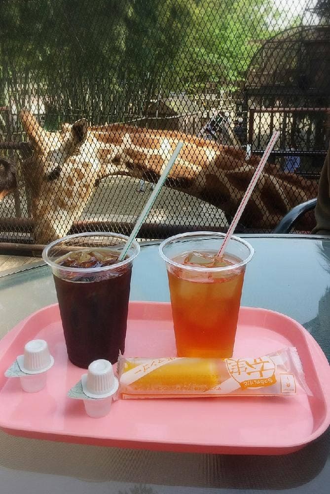 キリンテラス