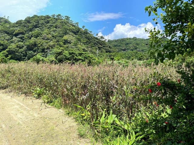 on the farm - サブ画像2