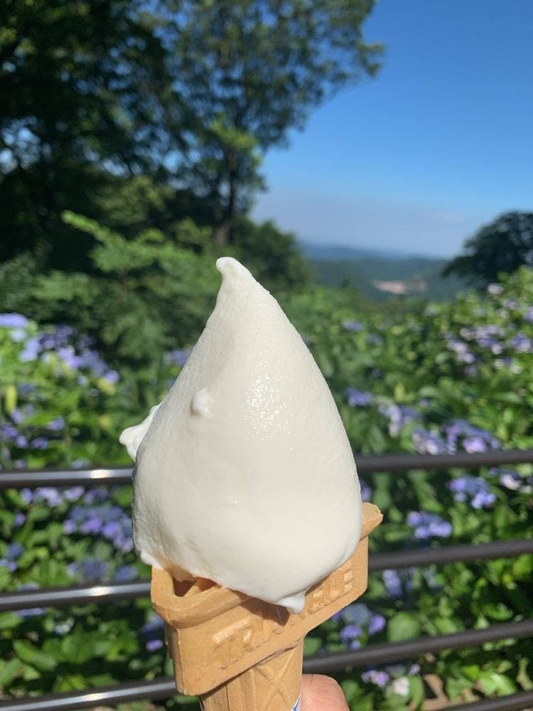 手作りアイスの加藤牧場