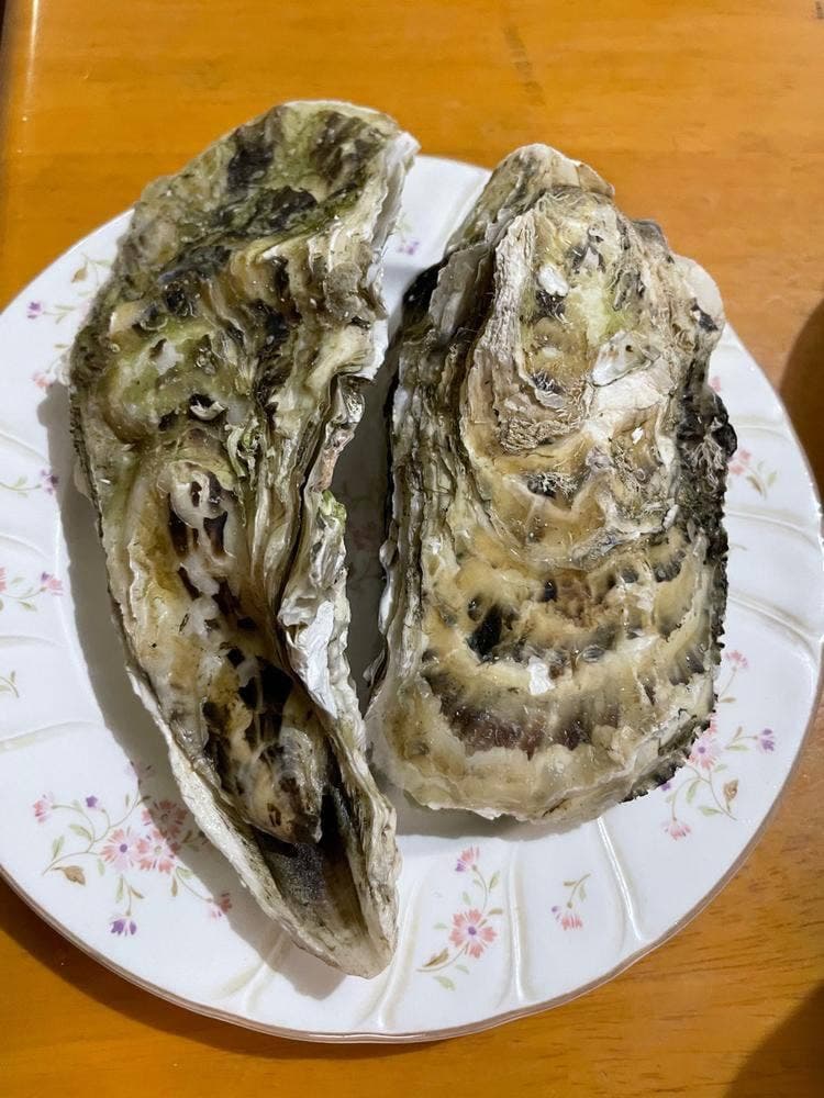 月の牛