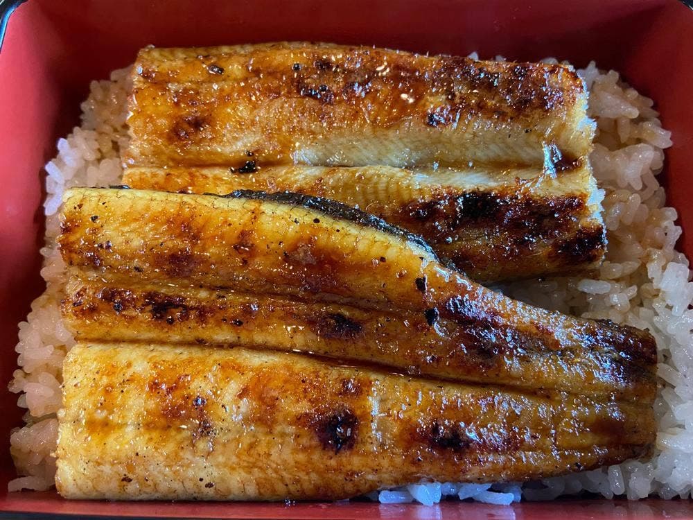 鰻城