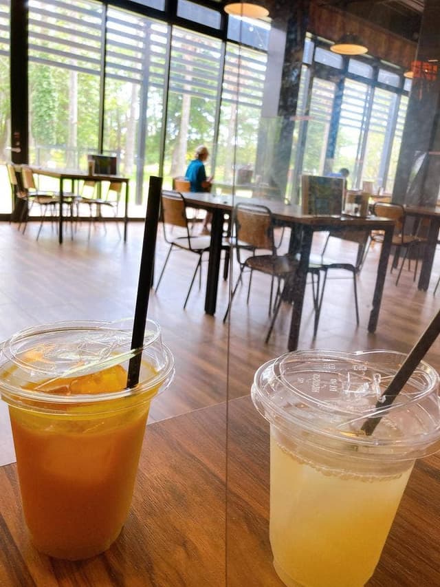 レインフォレストカフェ 青島屋店 - サブ画像1