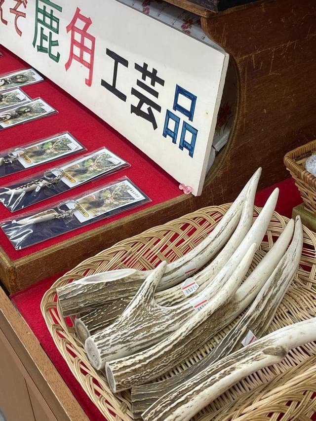 オシンコシン舘 - サブ画像3