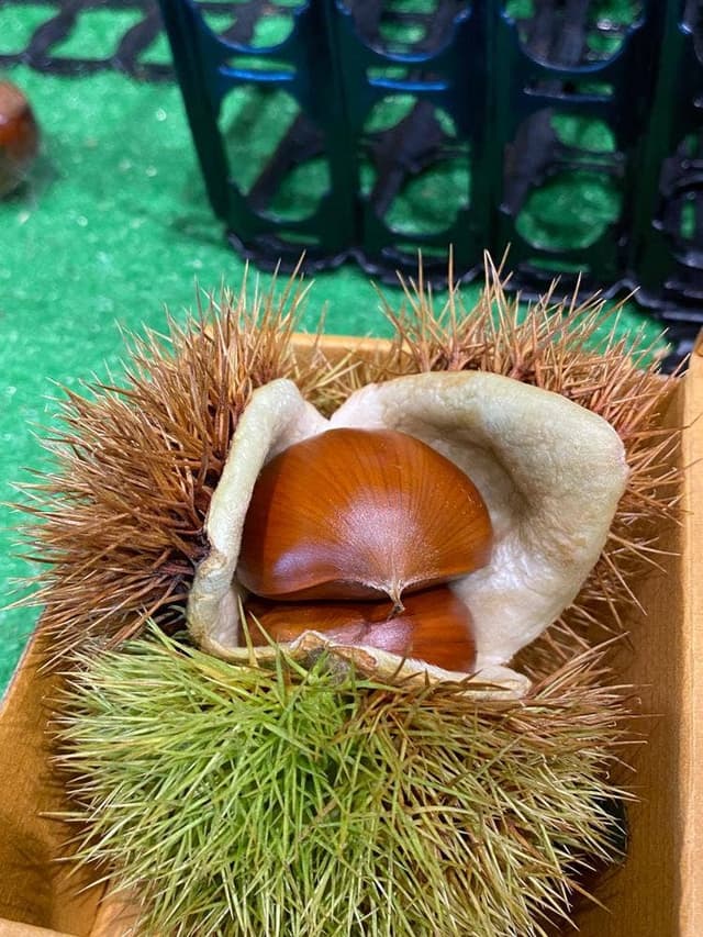 道の駅ヘルシーテラス佐久南 軽食コーナー 恋花カフェ - サブ画像2