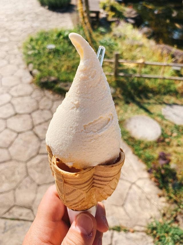 手づくりジェラート工房 鶴ヶ城会館 - サブ画像1
