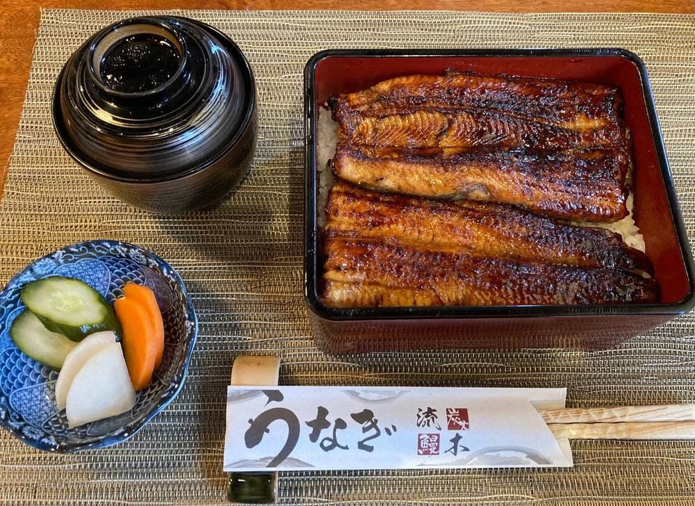 町田 うなぎ 流木