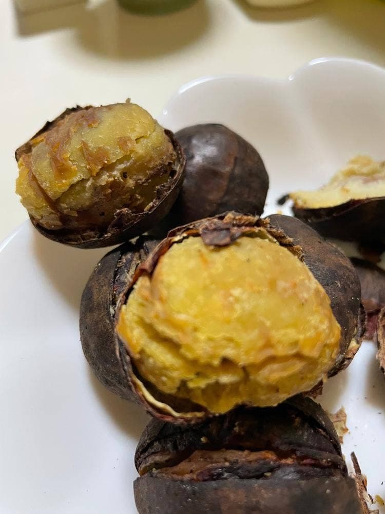 比沙家 アトレ大森