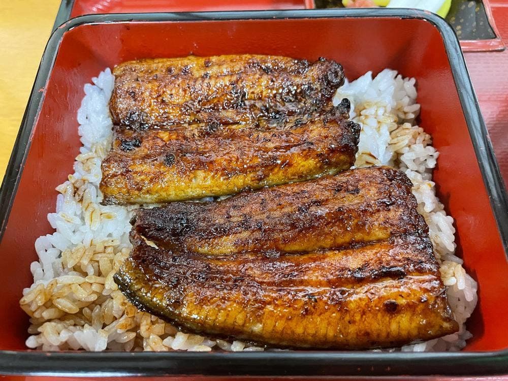 うな文