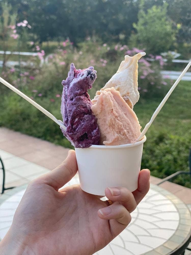 ソルベッチdoうきは