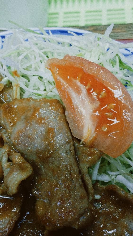 栃乃木