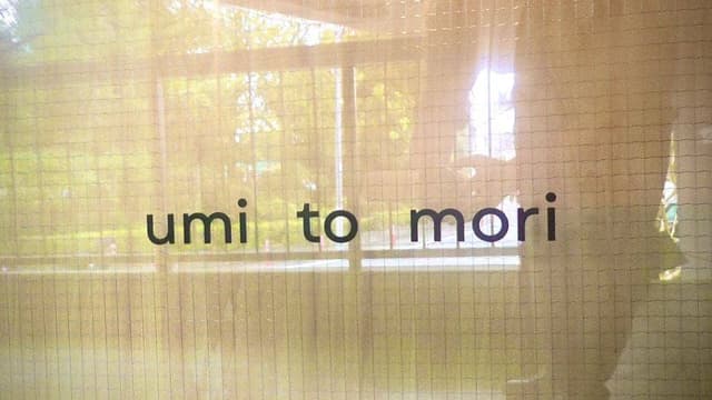 umi to mori - サブ画像1