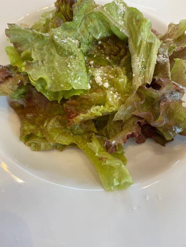 カンミナ ペル テッラ - サブ画像3