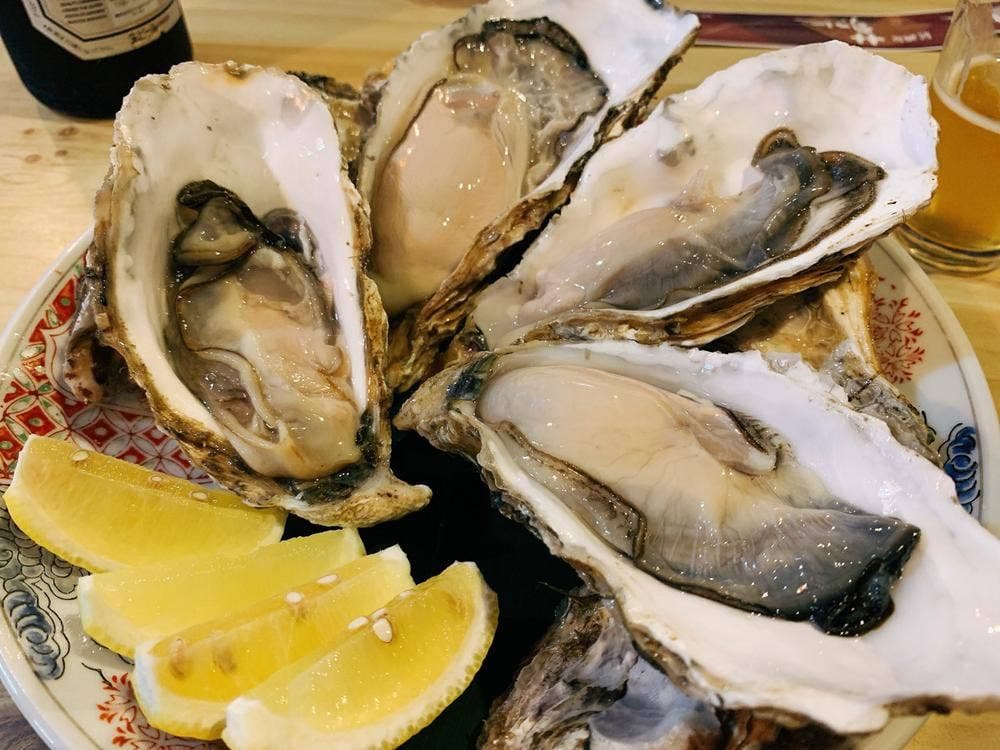 居酒屋風割烹菊水