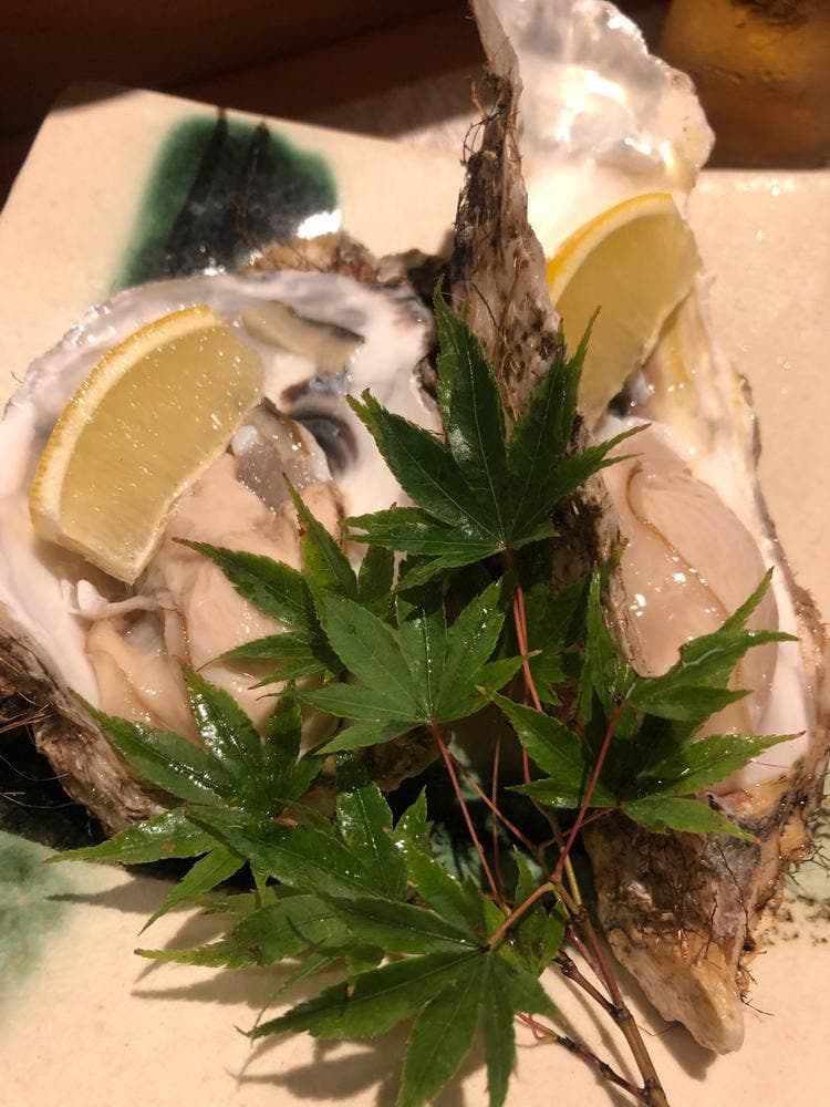 土佐の恵 いだき