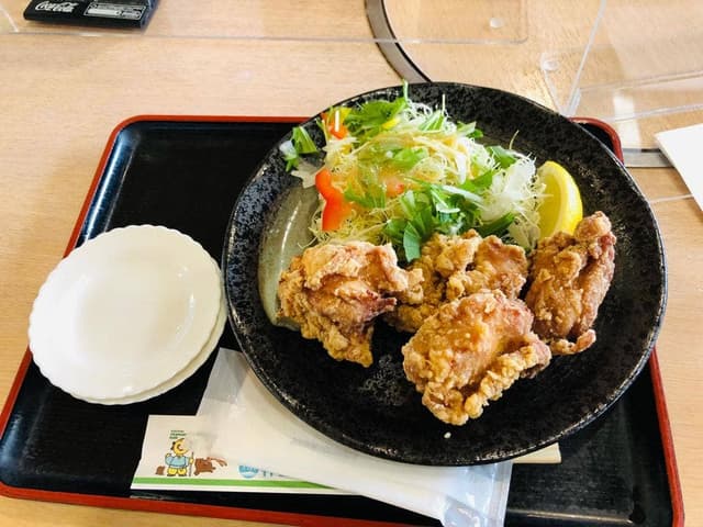道の駅 キリシマ神話の里公園 - サブ画像2
