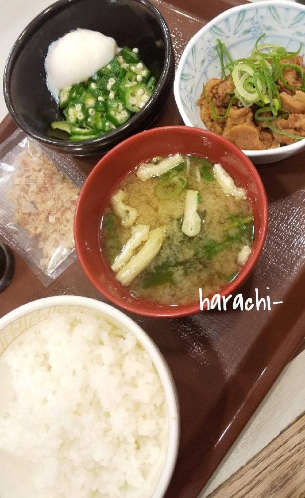 すき家 175号小野黒川店 - サブ画像1