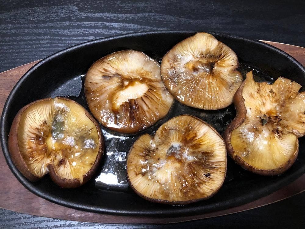 酒処 ひだりうま