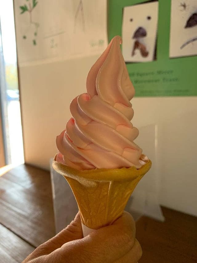 知床五湖レストハウス - サブ画像3