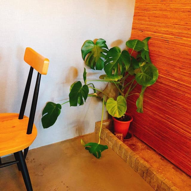 A BEAN'S COFFEE - サブ画像1