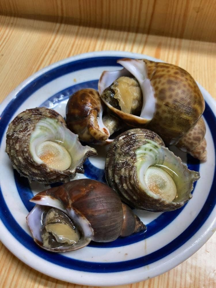 金寿司