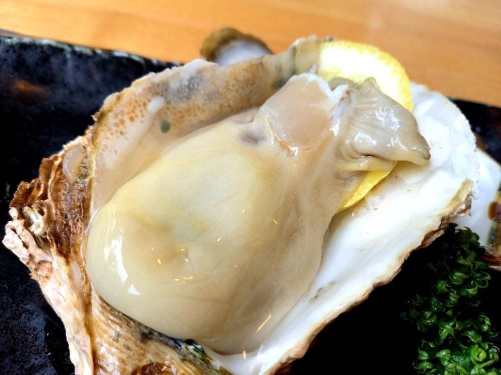 お食事処 魚勢 鱚や