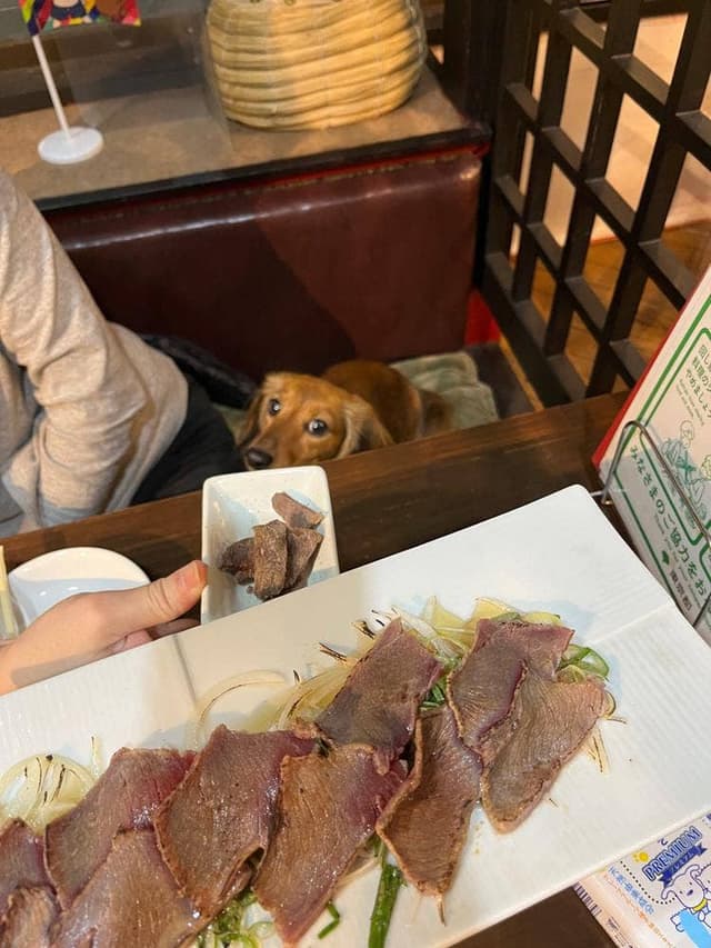 C's Recipe 吉田肉酒屋 - サブ画像1