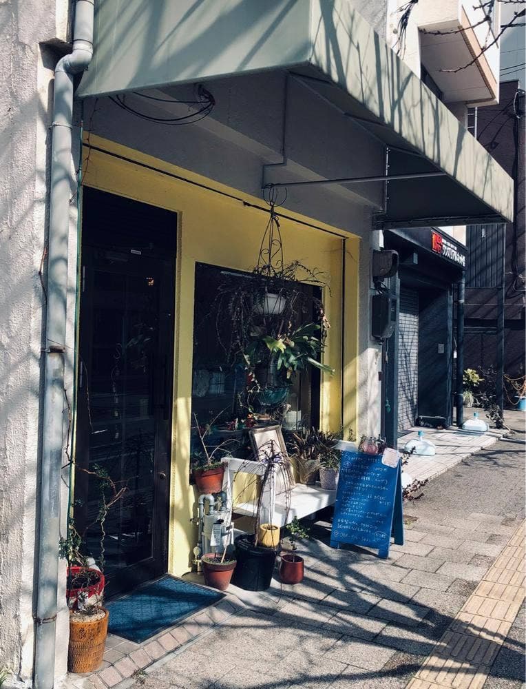 ミカサスカサ