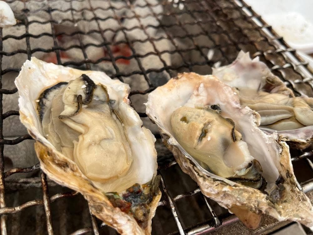 カキハウス マルハチ