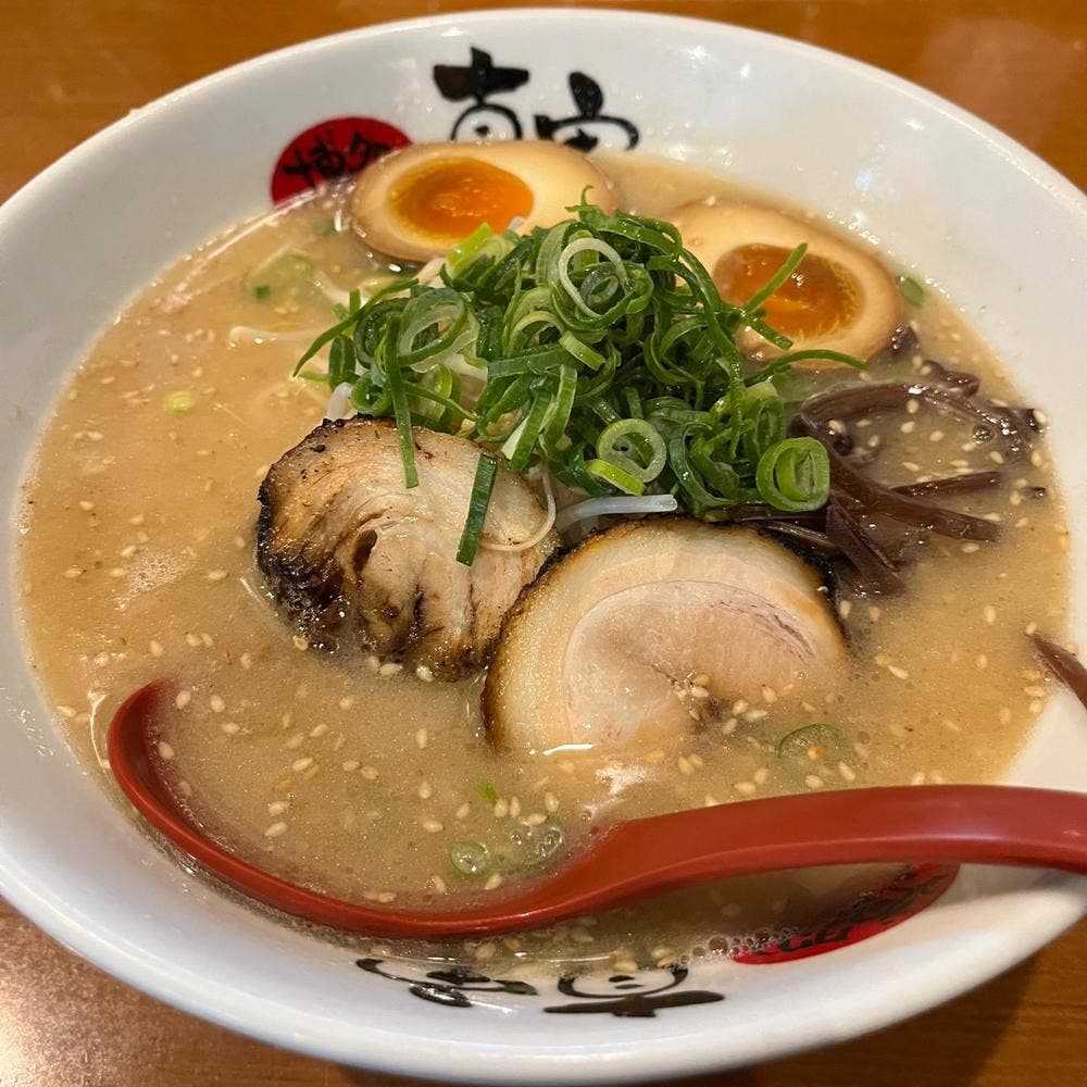 博多らーめん真実