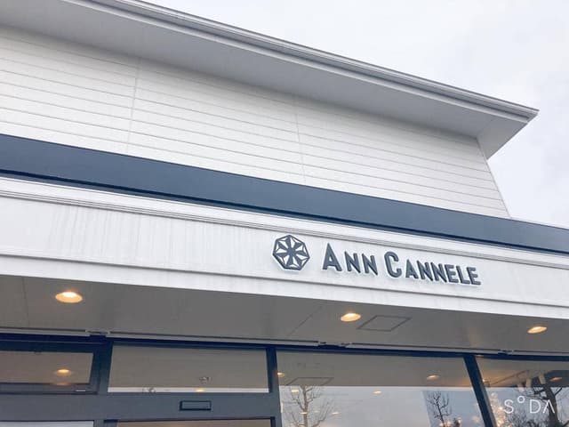 ANN CANNELE - サブ画像3