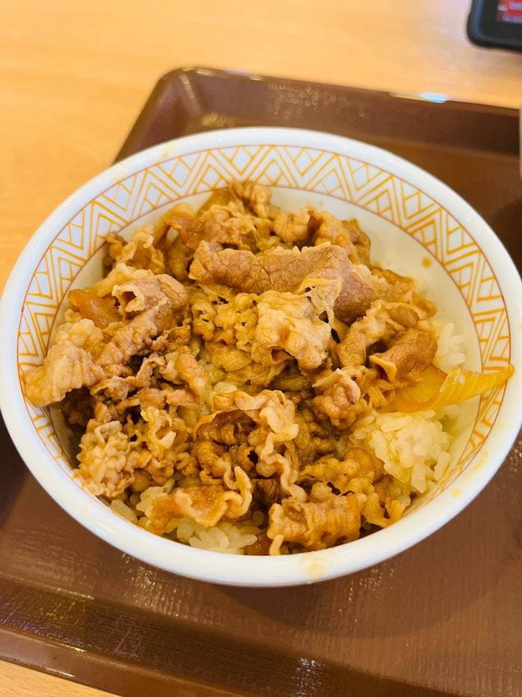 すき家 9号大田店