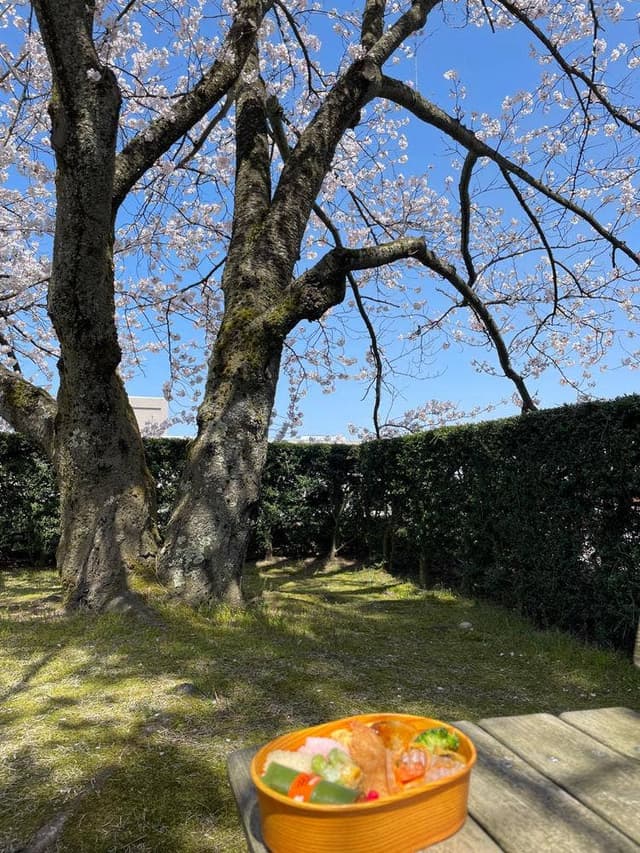 芝寿し 福井店 - サブ画像2