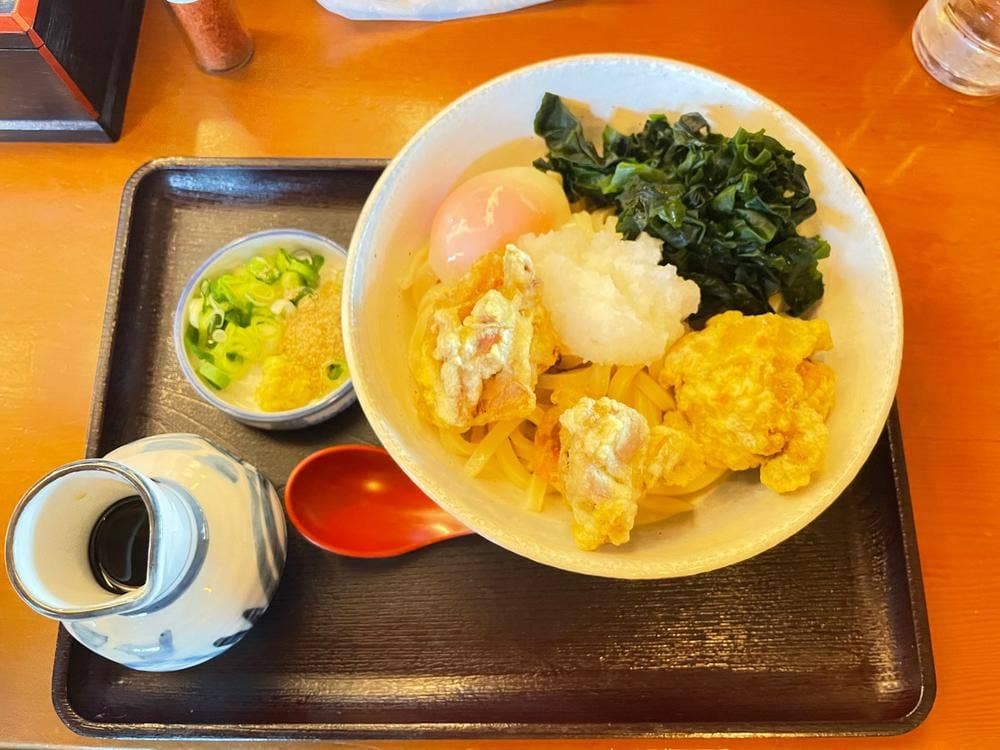 さぬきうどんのたぬき