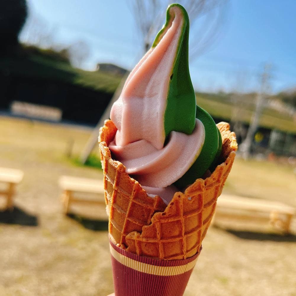 村茶屋 道の駅 お茶の京都 みなみやましろ村