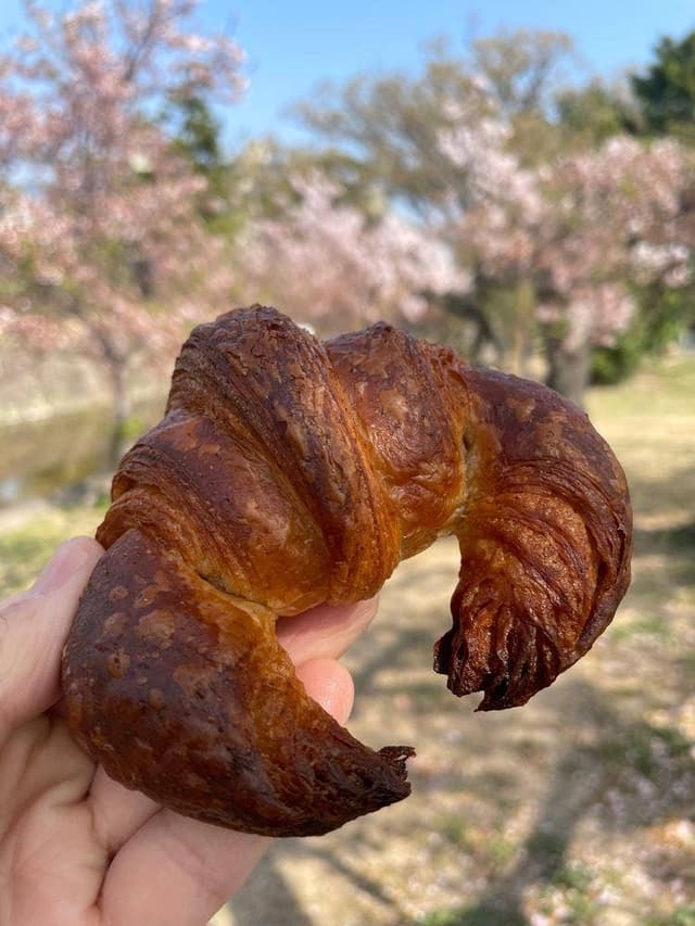 コンセントマーケット - サブ画像1