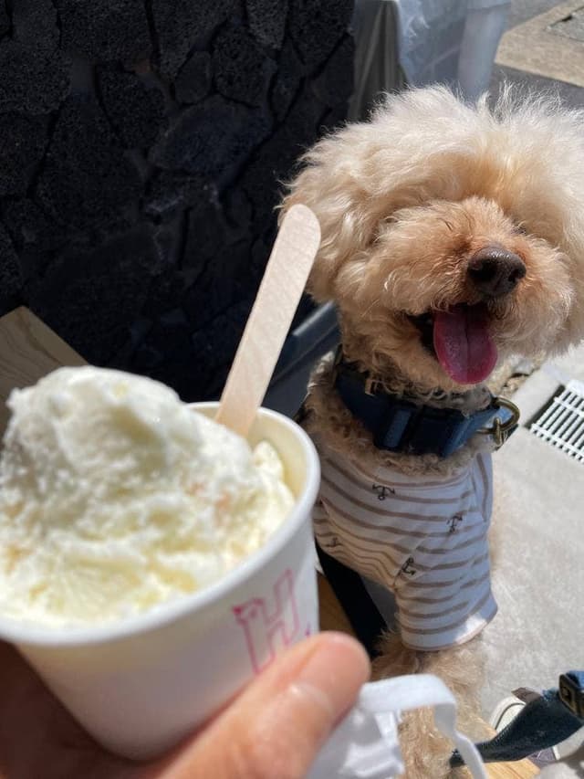 HOLIDAY ICE CREAM STORE - サブ画像1