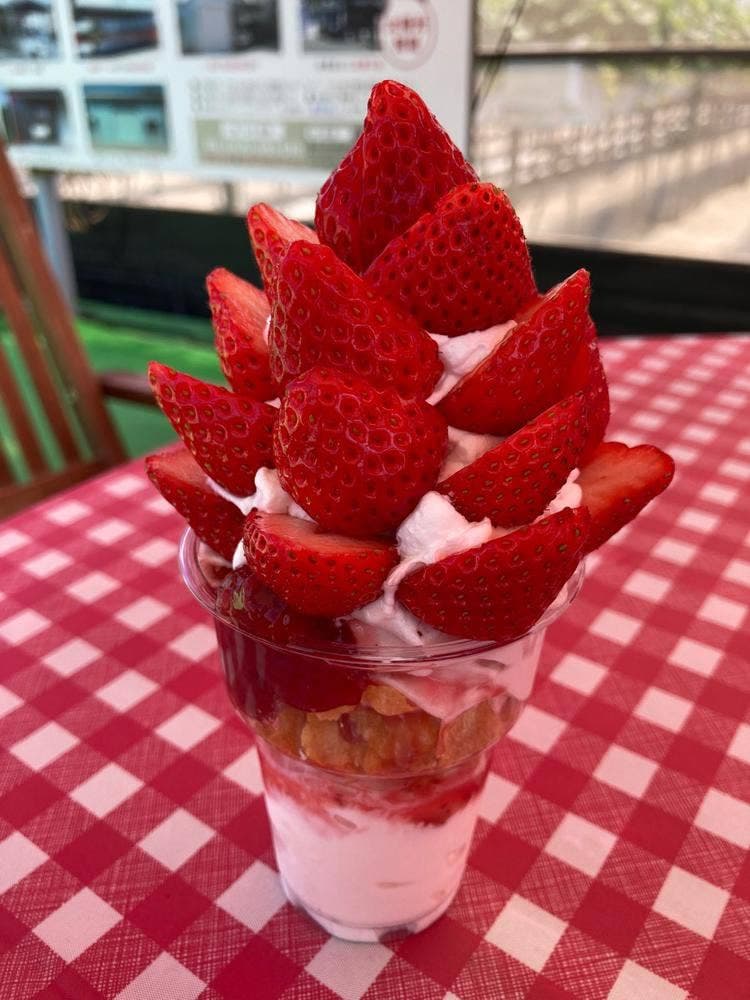 スカイファーム