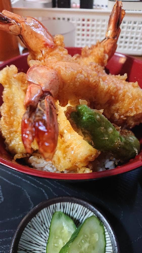 わらじの樹
